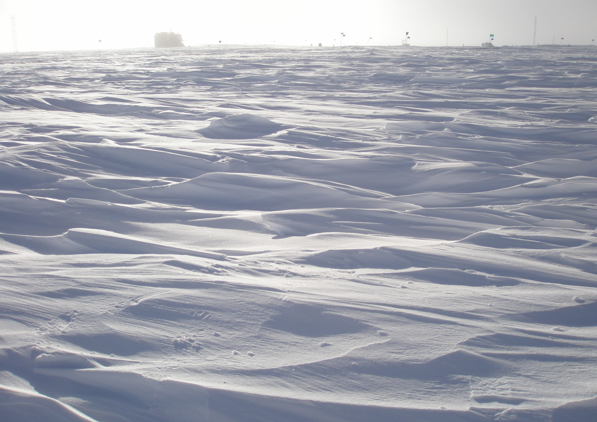 Antarctica Fact File, What is it like in Antarctica, Antarctic